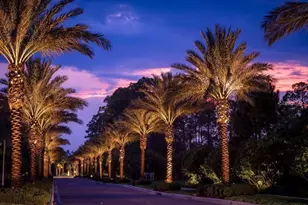 14501 Grove Resort Ave, Winter Garden, FL 34787 - Photo 38