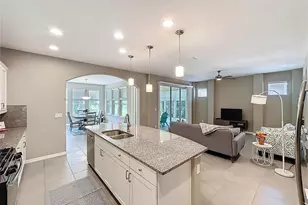 251 Silver Maple Rd, Groveland, FL 34736 - Photo 8