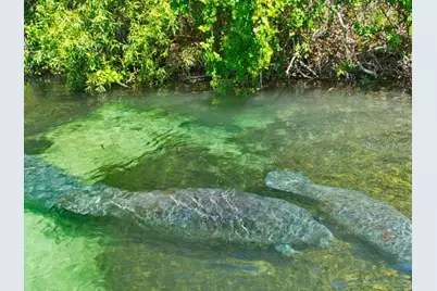 16391 Greenback Road, Weeki Wachee, FL 34614 - Photo 40