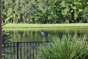 102 Acadia Terrace, Celebration, FL 34747 - Photo 34