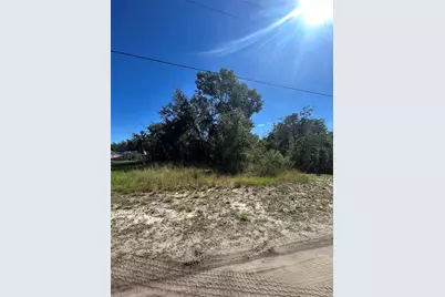 Palm Street, Lady Lake, FL 32159 - Photo 1