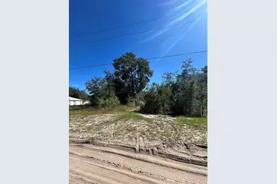Palm Street, Lady Lake, FL 32159 - Photo 2