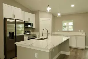 138 Guava Pass Terrace, Ocklawaha, FL 32179 - Photo 4