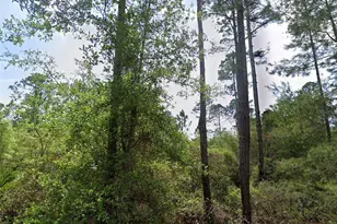126 & 128 Grandale St, Georgetown, FL 32139 - Photo 1