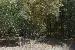 202 Cedar Trail, Interlachen, FL 32148 - Photo 1