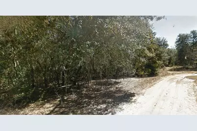 202 Cedar Trail, Interlachen, FL 32148 - Photo 2