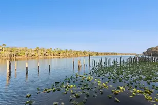 2565 E Osceola Rd, Geneva, FL 32732 - Photo 58