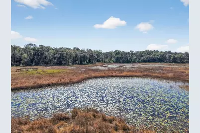 11469 SW 49th Plaza, Webster, FL 33597 - Photo 8