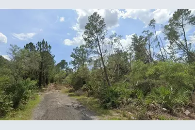 Aster Terrace, Deland, FL 32724 - Photo 1