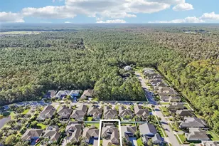 3654 Pini Ave, New Smyrna Beach, FL 32168 - Photo 42