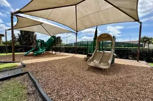 13519 Goostry Point, Orlando, FL 32832 - Photo 54