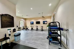 13519 Goostry Point, Orlando, FL 32832 - Photo 72