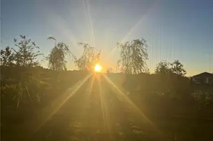 2361 Daisy Tree Rd, Saint Cloud, FL 34771 - Photo 6