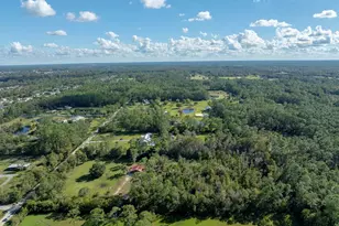 2346 Meadow Ln, Port Orange, FL 32128 - Photo 48