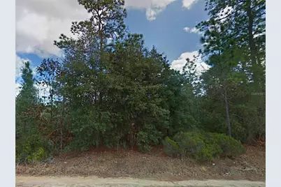 114 Dave Street, Interlachen, FL 32148 - Photo 2