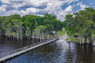 210 SE 1st St, Georgetown, FL 32139 - Photo 1