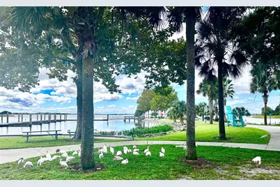 315 S Clayton Street, Mount Dora, FL 32757 - Photo 20