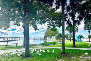 315 S Clayton St, Mount Dora, FL 32757 - Photo 20