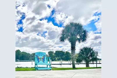 315 S Clayton Street, Mount Dora, FL 32757 - Photo 18