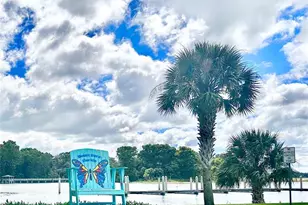 315 S Clayton St, Mount Dora, FL 32757 - Photo 18