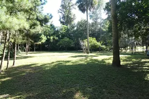 237 Cortez Ave, De Leon Springs, FL 32130 - Photo 38