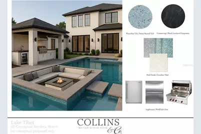 8774 Lake Tibet Court, Orlando, FL 32836 - Photo 4