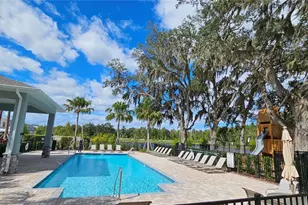 11341 Nona Sound St, Orlando, FL 32832 - Photo 50