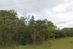 NE 151 Terrace, Williston, FL 32696 - Photo 1