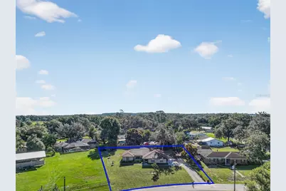 41348 Silver Drive, Umatilla, FL 32784 - Photo 6