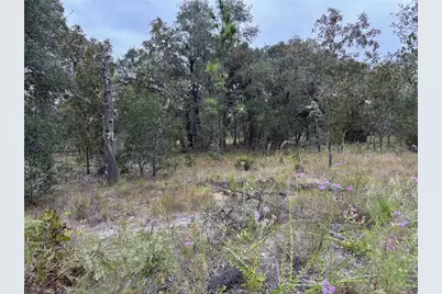 Se 63rd Lane, Morriston, FL 32668 - Photo 1