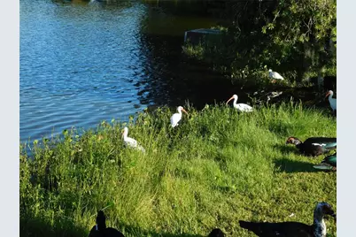 910 Cherokee Circle, Sanford, FL 32773 - Photo 56