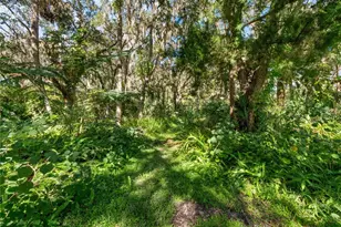 1385 Enterprise Osteen Rd, Enterprise, FL 32725 - Photo 40