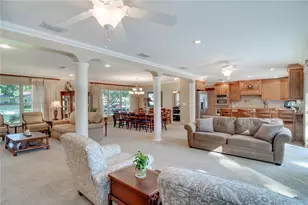 241 N Dillard St, Winter Garden, FL 34787 - Photo 6