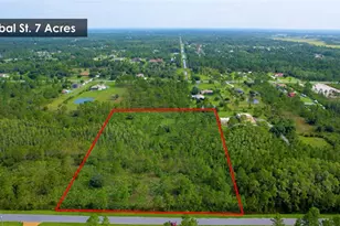 Lot 470 Sabal St, Orlando, FL 32833 - Photo 1