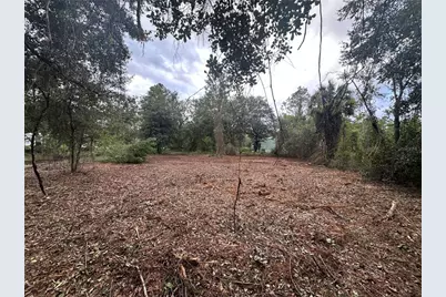 323 Carteret Road, Georgetown, FL 32139 - Photo 2