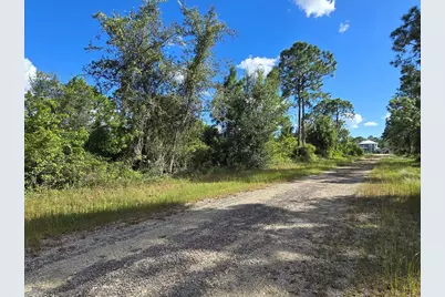 419 Wilder Avenue S, Lehigh Acres, FL 33974 - Photo 4