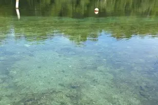 10137 SW 192nd Cir, Dunnellon, FL 34432 - Photo 24