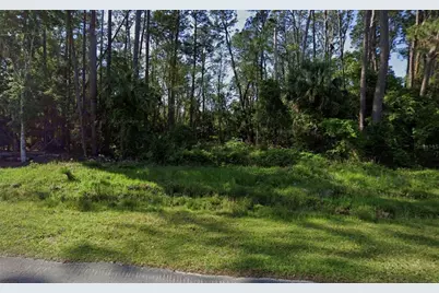 731 Paradise Boulevard, Georgetown, FL 32139 - Photo 2