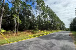 899 W Bannister Dr, Citrus Springs, FL 34434 - Photo 1