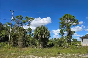 1111 Nimitz Blvd, Lehigh Acres, FL 33974 - Photo 1