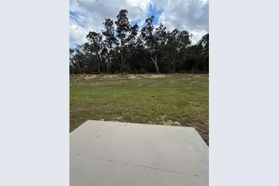 3136 Goose Road, Davenport, FL 33837 - Photo 10