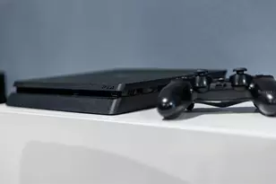 2929 Fable St, Kissimmee, FL 34746 - Photo 56