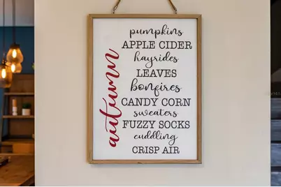 2929 Fable Street, Kissimmee, FL 34746 - Photo 62