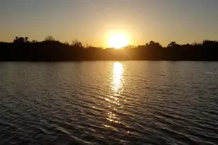 5426 Gemgold Ct, Windermere, FL 34786 - Photo 54