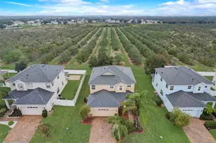 4512 Olympia Ct, Clermont, FL 34714 - Photo 52