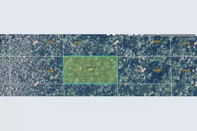 Dill Road, Orlando, FL 32820 - Photo 4