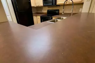 12861 Madison Pointe Cir, Orlando, FL 32821 - Photo 8