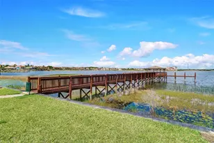 8824 Elliotts Ct, Orlando, FL 32836 - Photo 40