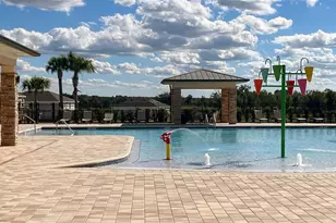 6863 Spanish Imperial St, Howey in the Hills, FL 34737 - Photo 8