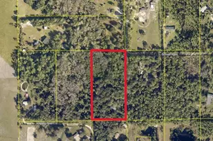 795 Scooter Point, Geneva, FL 32732 - Photo 14